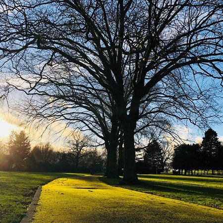 Roundwood Park